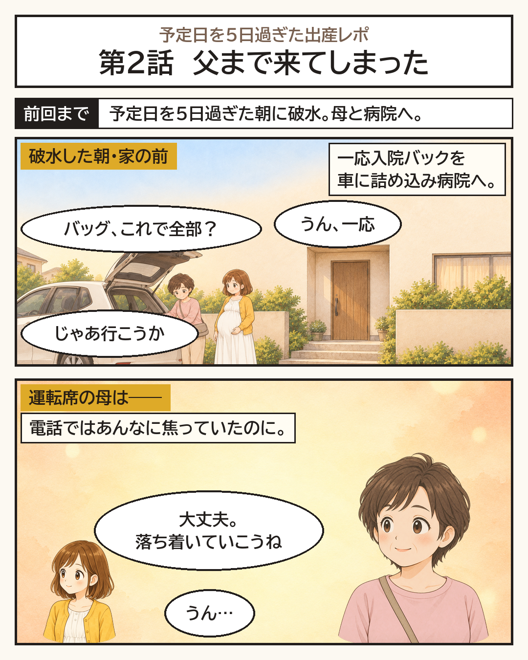 入院バッグを車に積んで、母と車で病院へ向かう